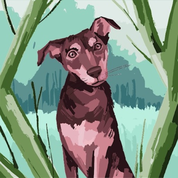 Meet your Posher, Clarence - Picture 1 of 1